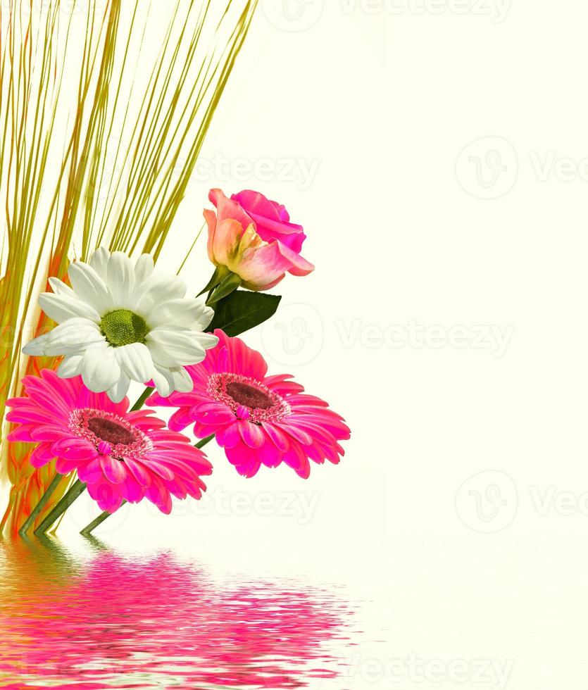 Colorful vibrant flowers of chrysanthemum, gerbera, roses isolated on a white background. photo