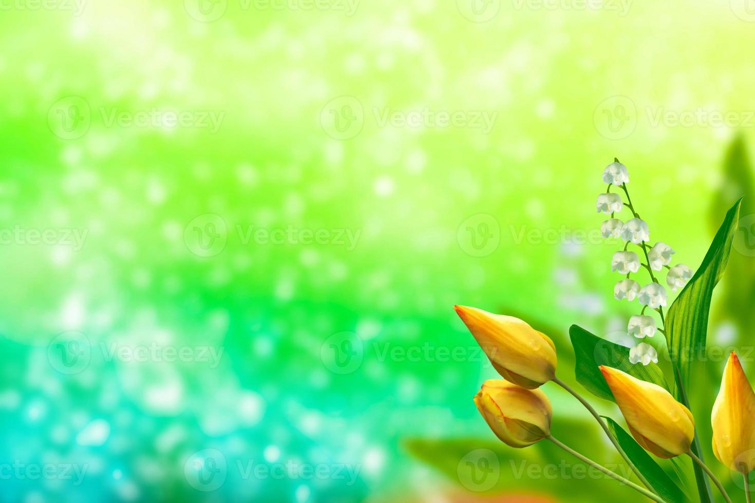 Spring landscape. tulip. flowers lily of the valley photo