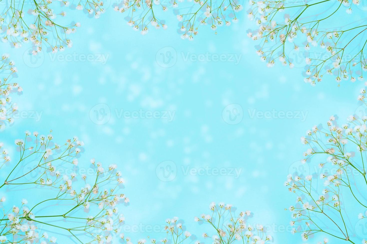 Abstract floral background. Frame made of flowers. Natural pattern. photo