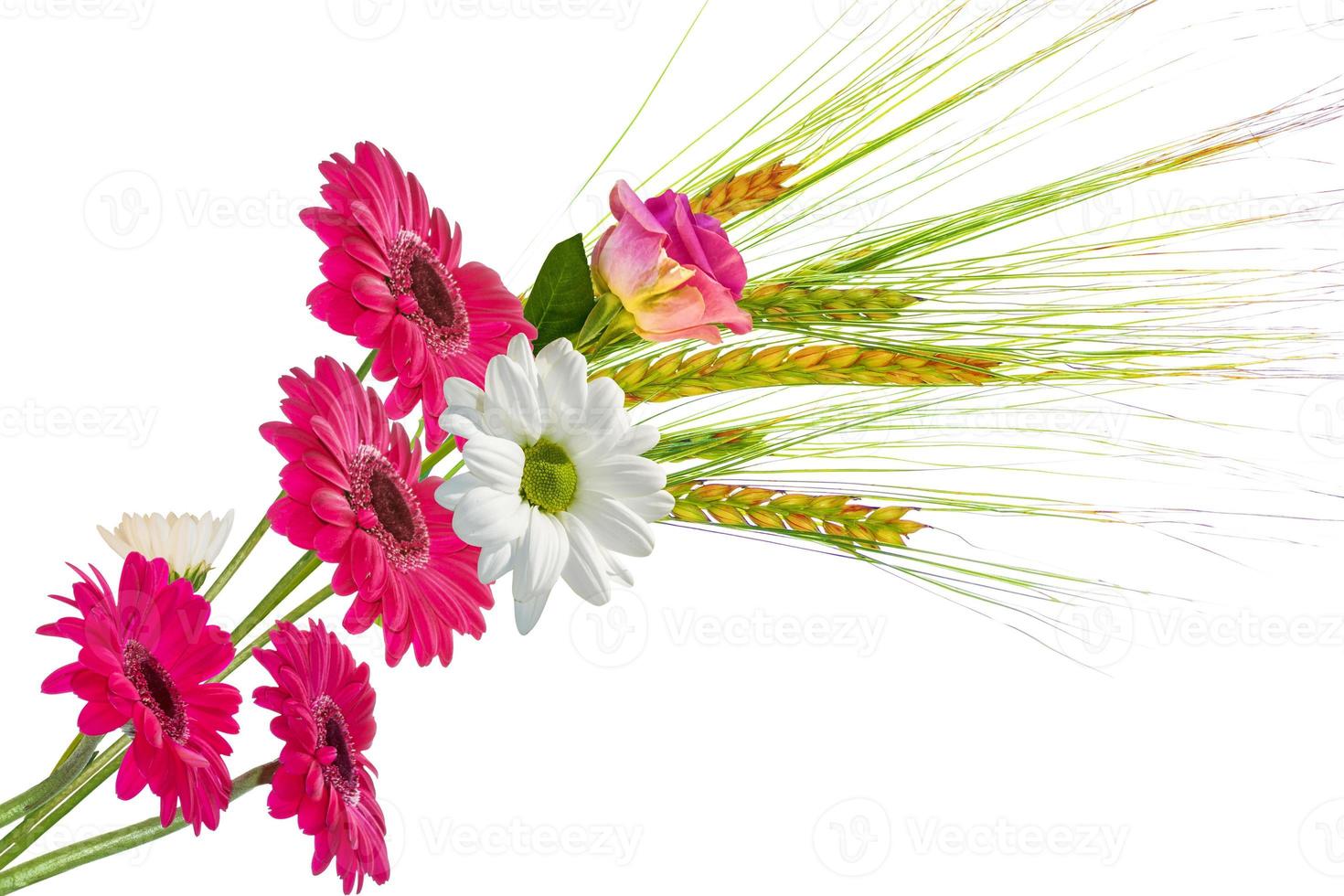 Colorful vibrant flowers of chrysanthemum, gerbera, roses isolated on a white background. photo