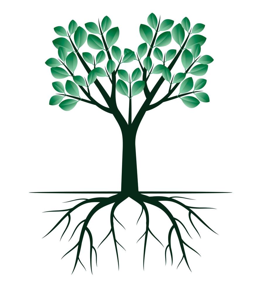 Green spring Tree with Roots. Vector Illustration.