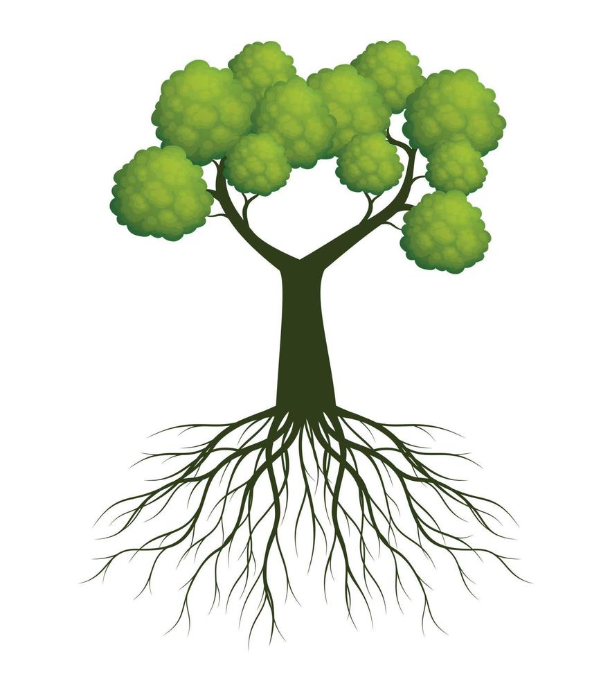 árbol de primavera verde con raíces. ilustración vectorial vector