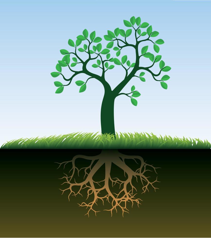 Green spring Tree with Roots. Vector Illustration.