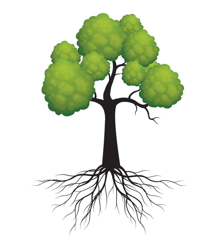 Green spring Tree with Roots. Vector Illustration.