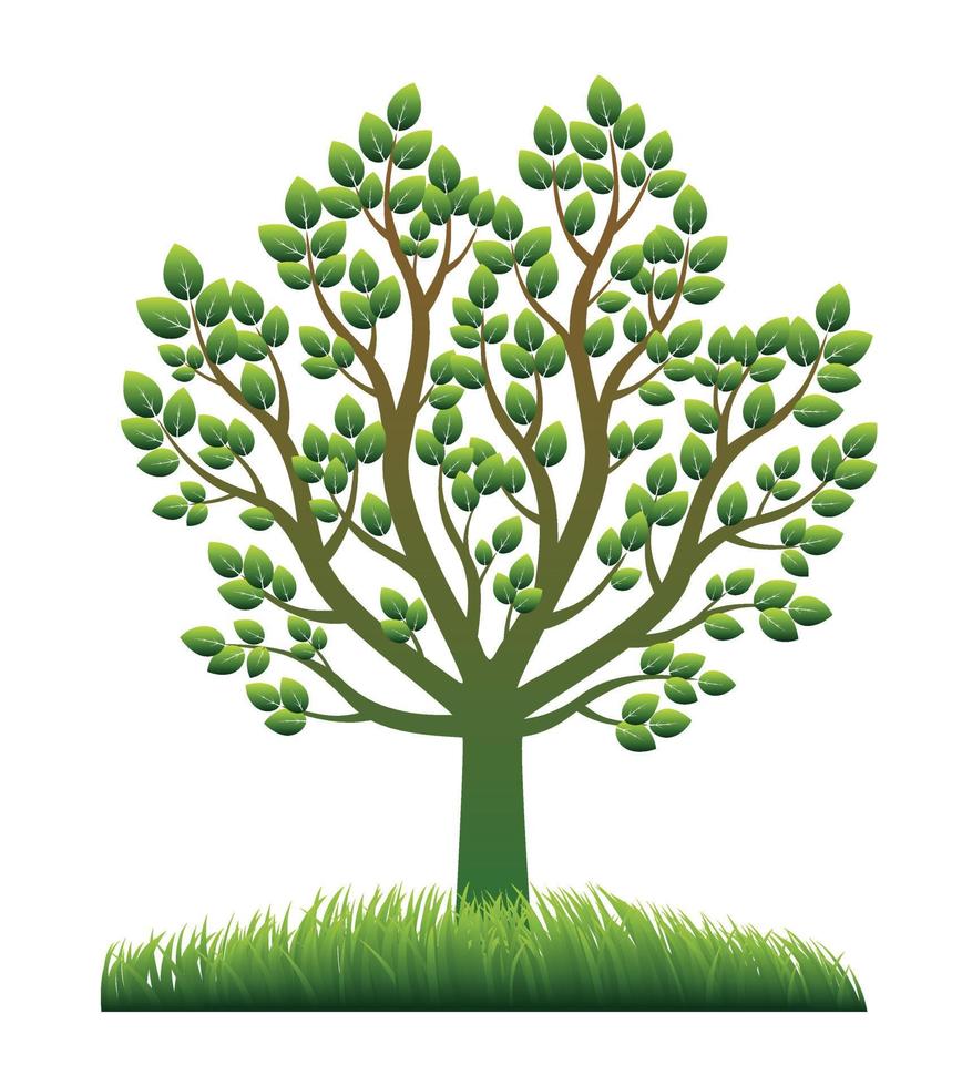 Green spring Tree. Vector Illustration.