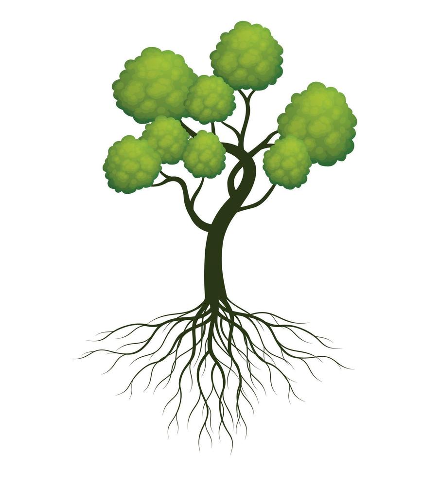 Green spring Tree with Roots. Vector Illustration.