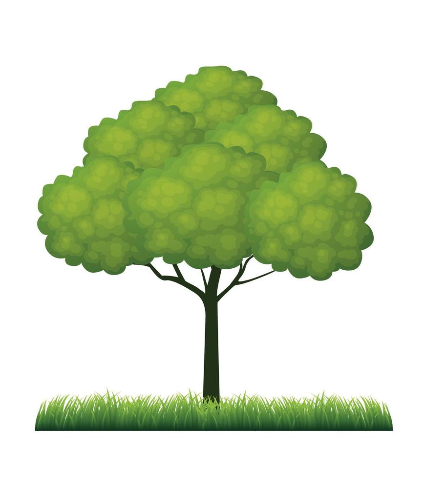 Green spring Tree. Vector Illustration.