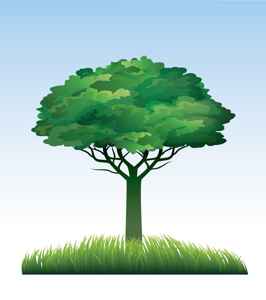 Green spring Tree. Vector Illustration.