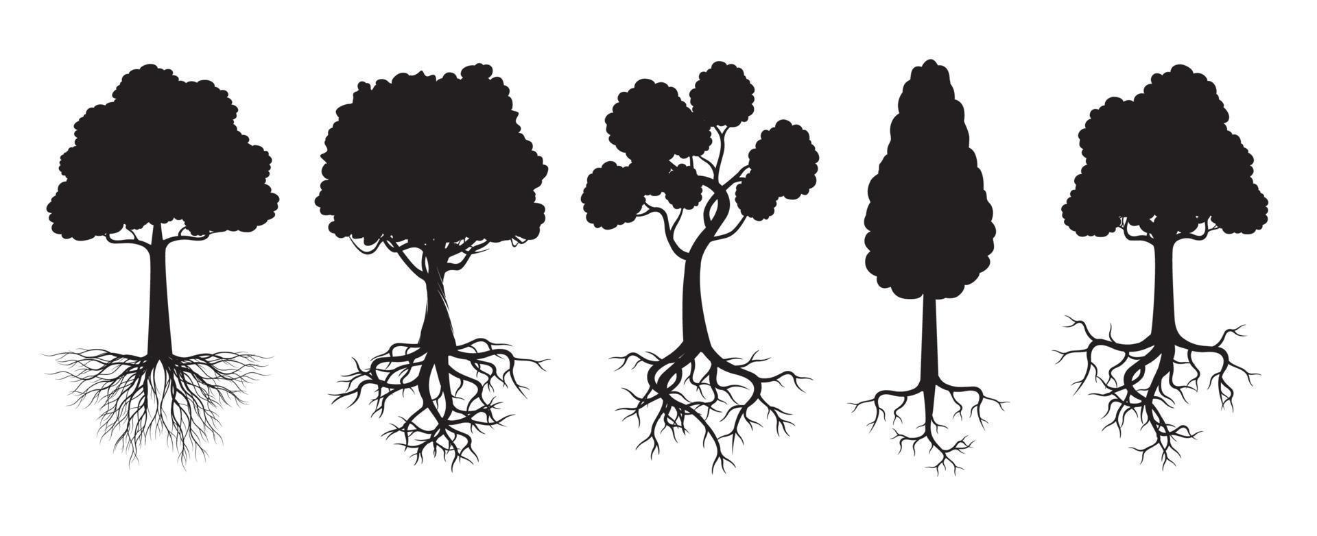 Set black Trees with Roots. Vector Illustration.