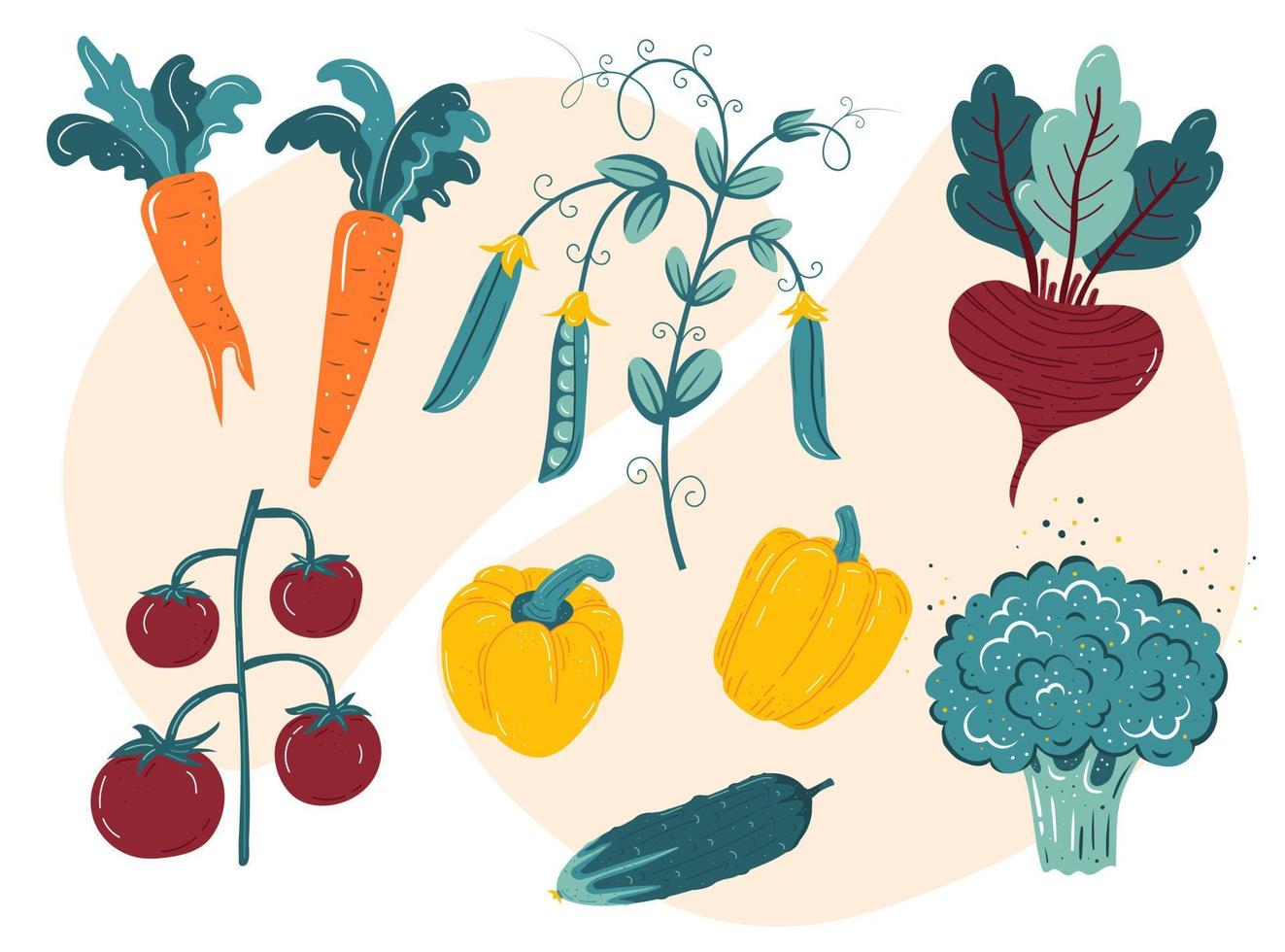 verduras orgánicas frescas: pimiento, guisantes, zanahoria, tomate, pepino, brócoli, remolacha. ilustración vectorial, comida vegetariana saludable vector