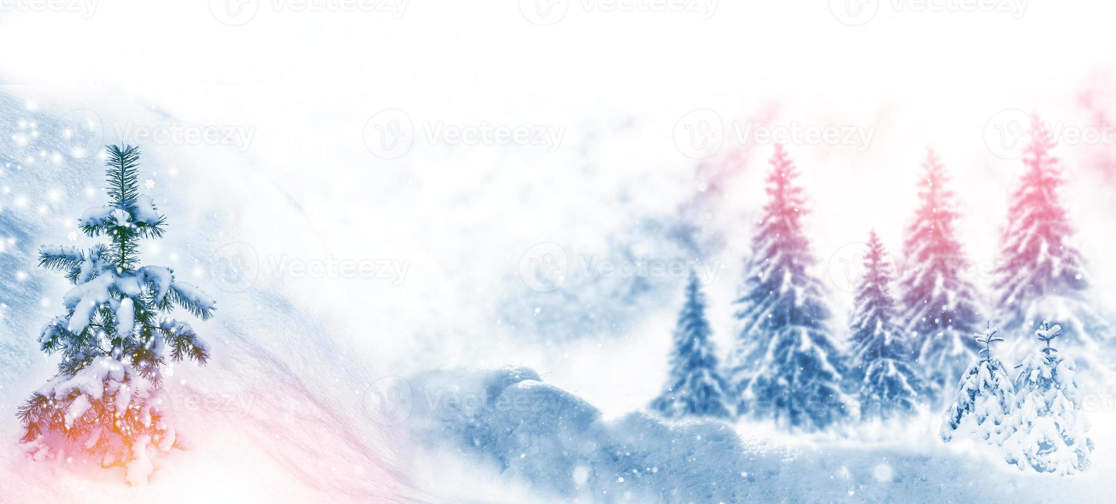 Happy New Year and Merry Christmas. Frozen winter forest with snow covered trees. photo