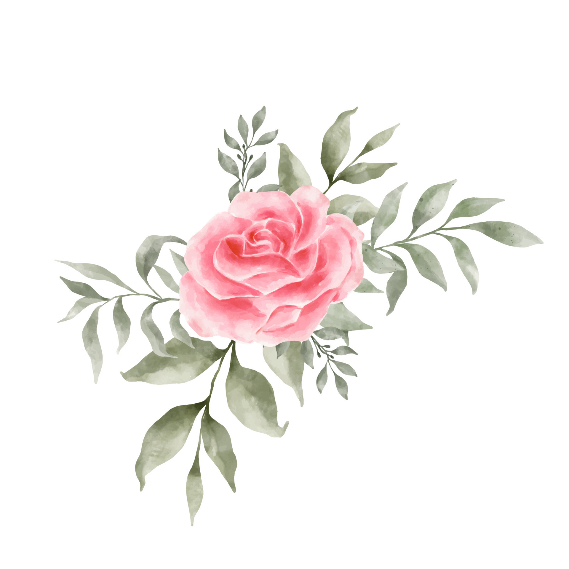Pink and Red Rose Flowers Watercolor vector isolated on white background.  Vintage Flowers and Leaves graphic for wedding, invitation card. Floral  illustration 9288806 Vector Art at Vecteezy
