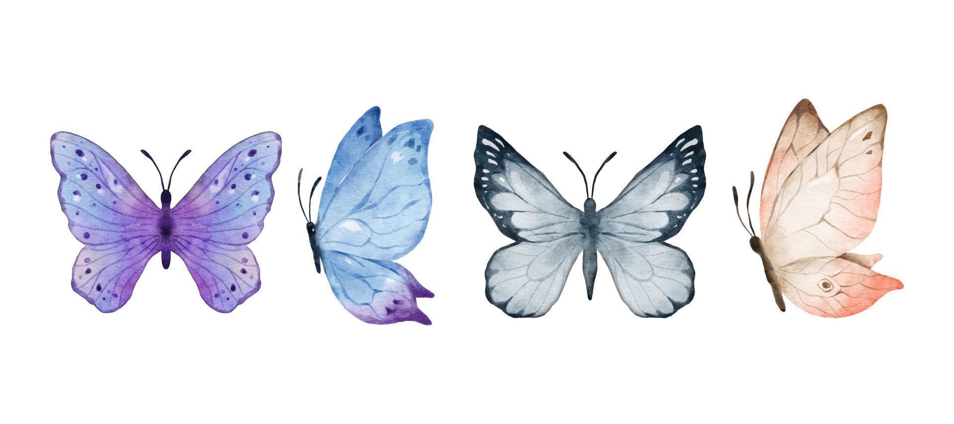 acuarela de mariposas de colores aislado sobre fondo blanco. mariposa rosa púrpura, azul, gris o plateada y crema. Ilustración de vector de animales de primavera