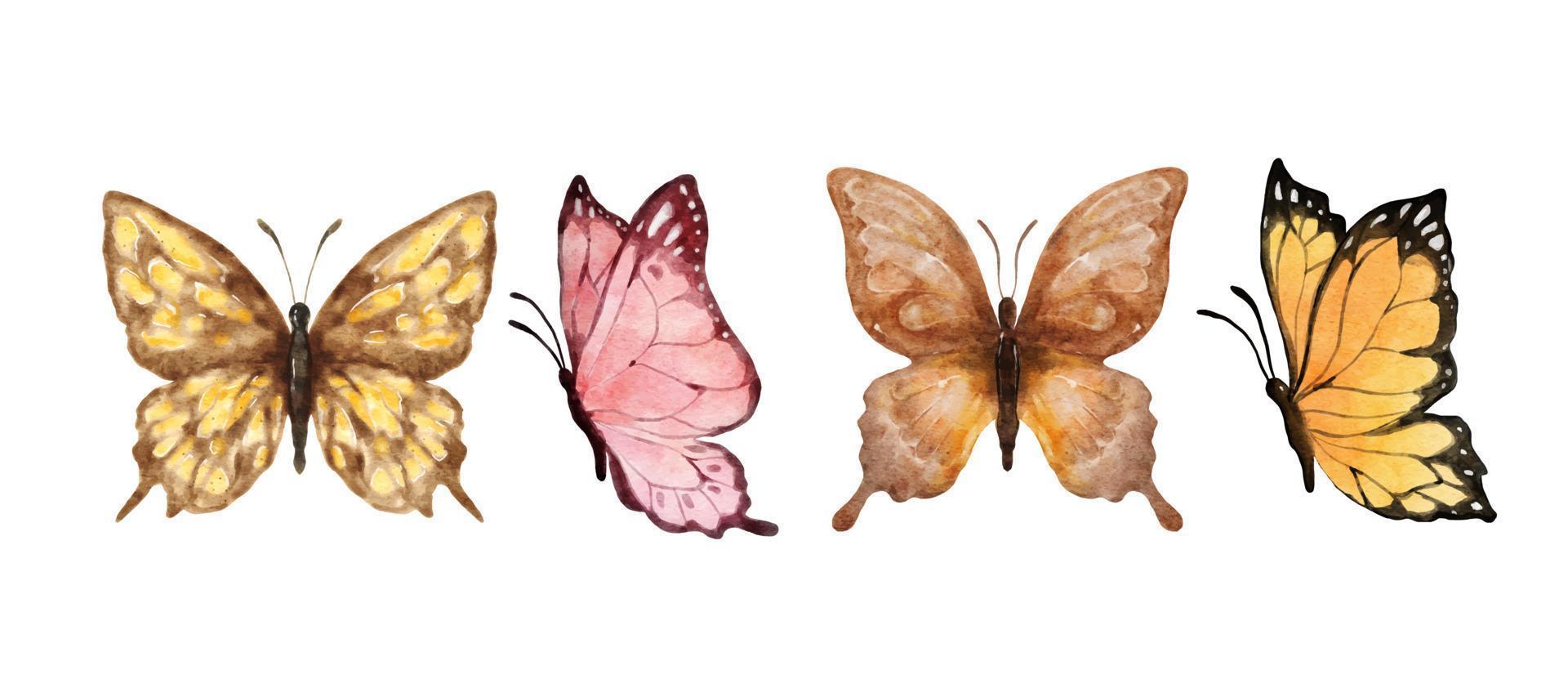 Colorful butterflies watercolor isolated on white background. Brown, pink, yellow and orange butterfly. Spring animal vector illustration