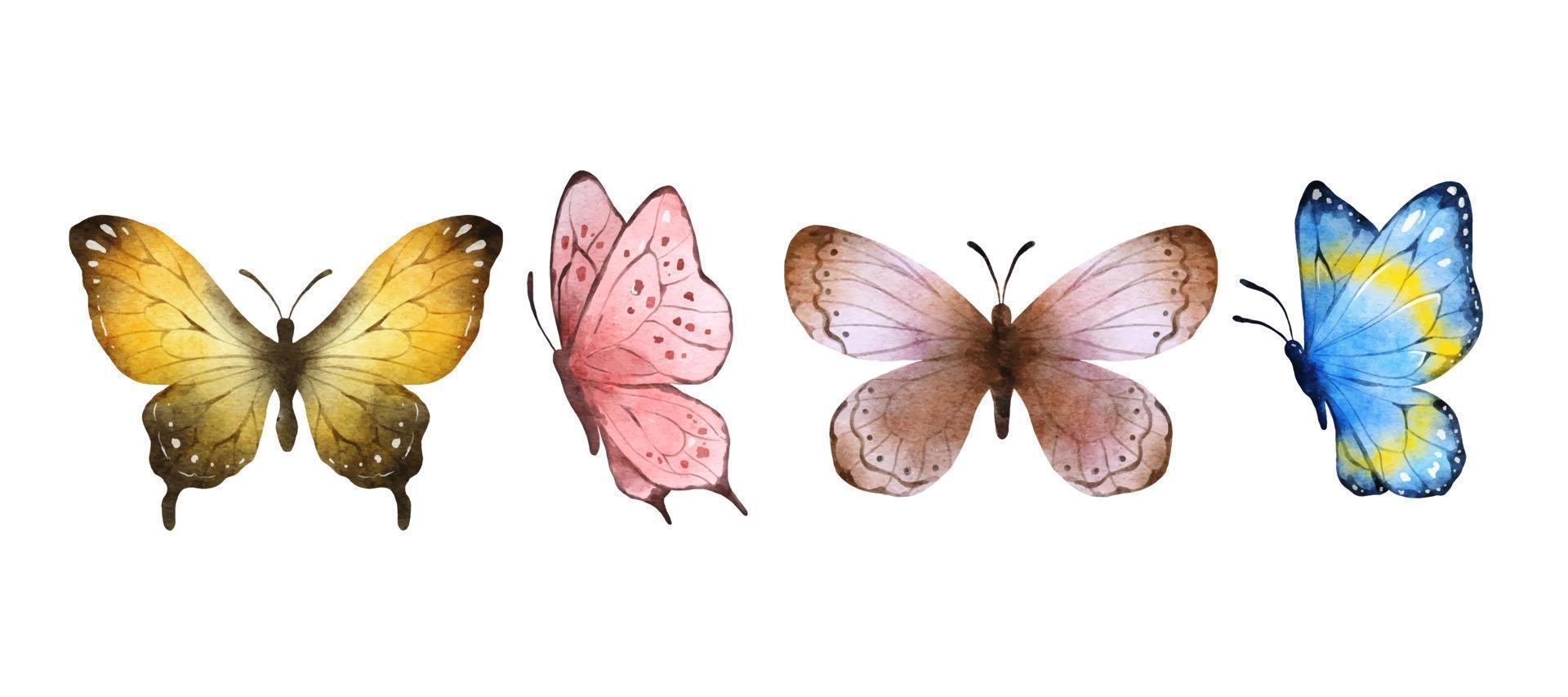 Digital Painting Colorful butterflies watercolor isolated on white background. Orange, pink, yellow brown and blue butterfly. Spring animal vector illustration