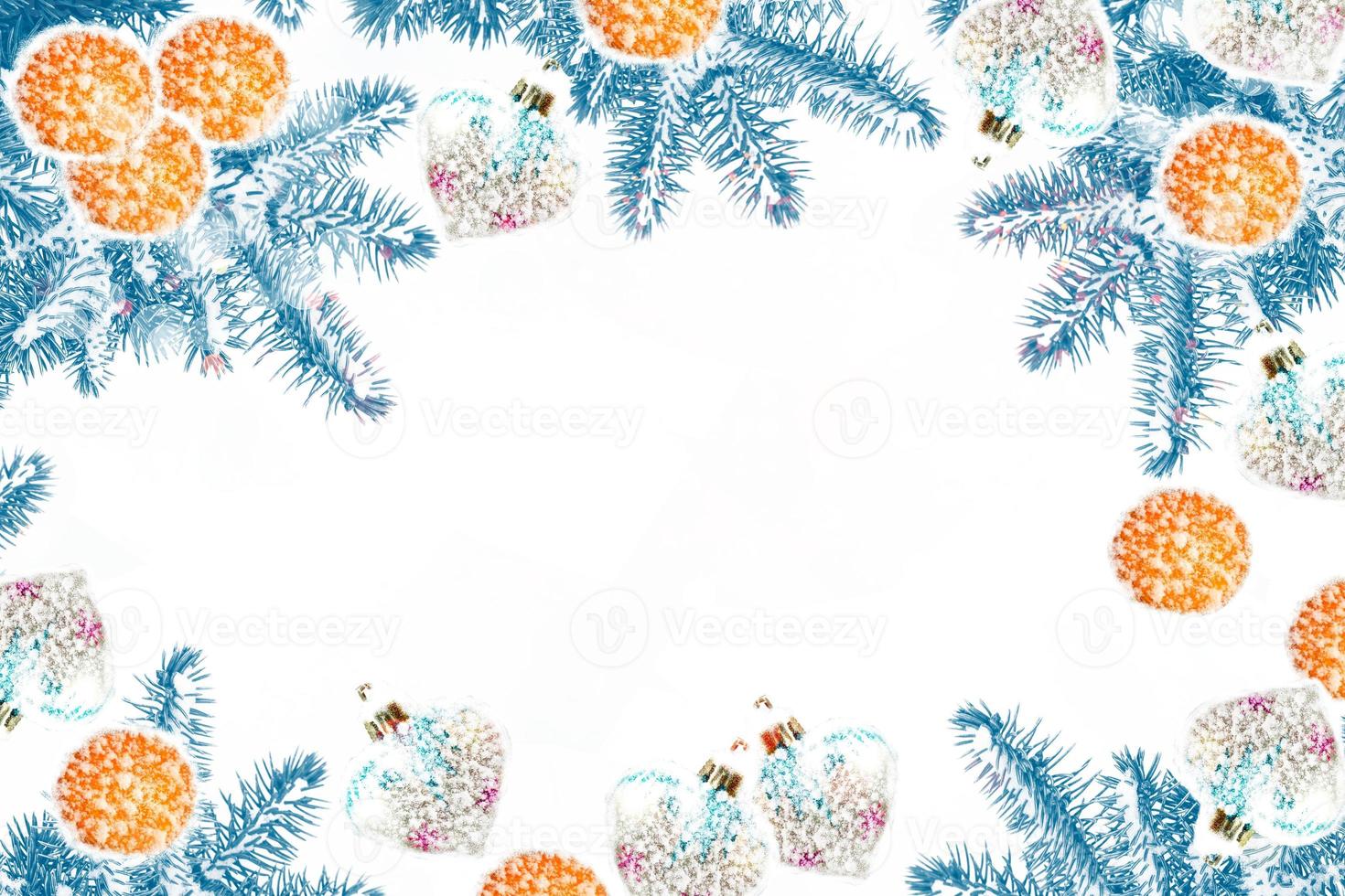 Snow covered fir branch on a winter background. photo