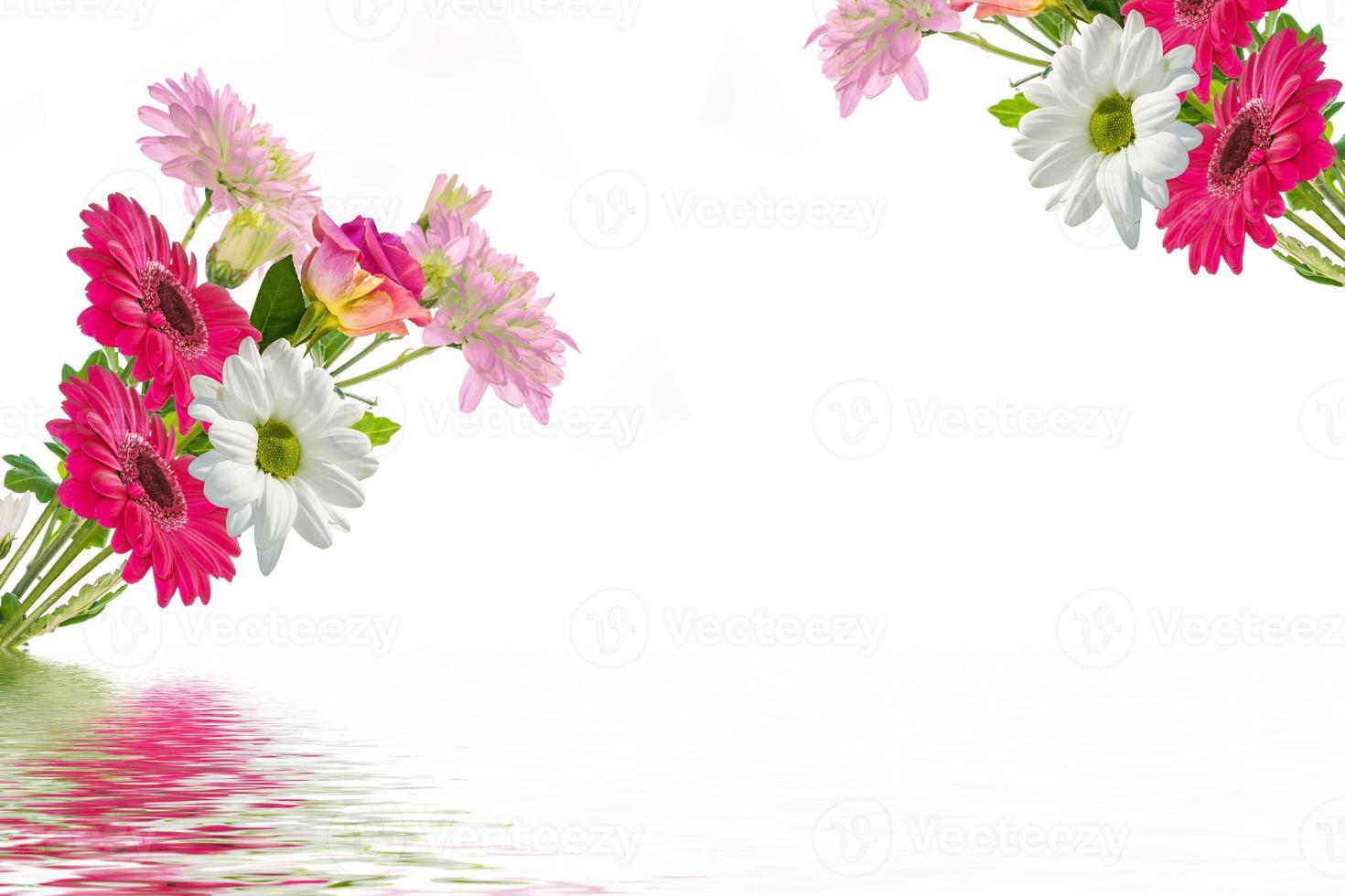 Colorful vibrant flowers of chrysanthemum, gerbera isolated on a white background. photo