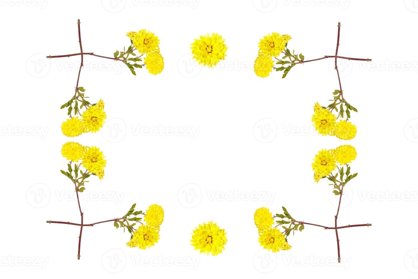 Colorful autumn flowers of chrysanthemum photo