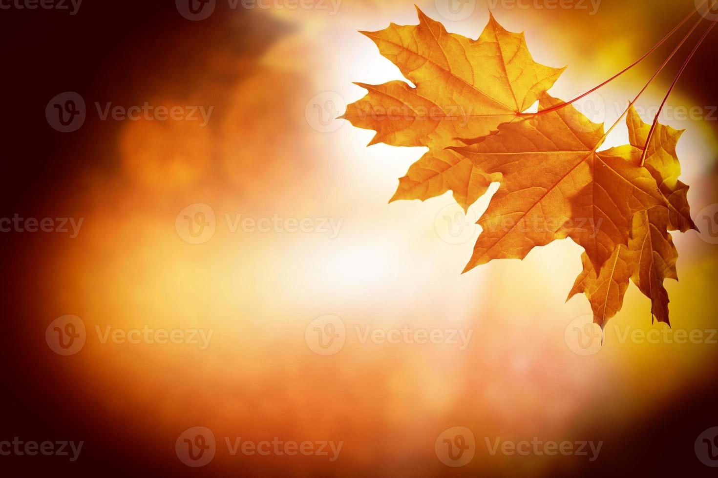autumn landscape with bright colorful foliage. Indian summer. photo