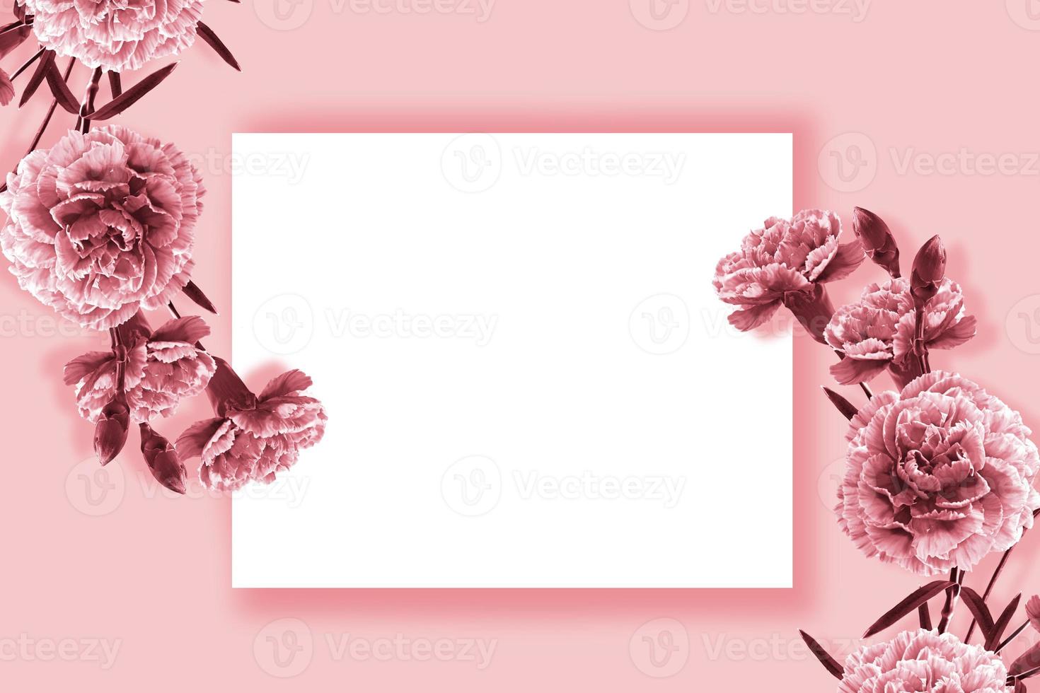 Natural floral background of bright flowers carnation photo