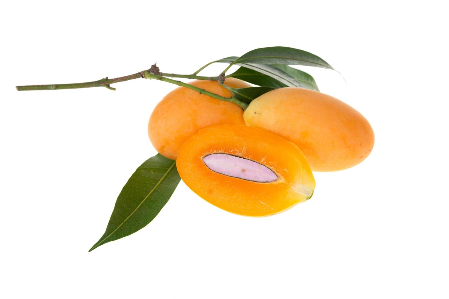 Sweet Marian plum thai fruit isolated on white background photo
