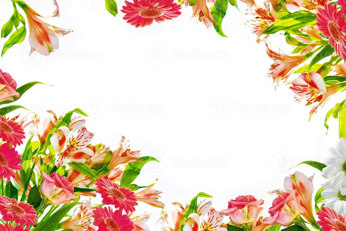 Bright colorful flowers isolated on a white background. photo