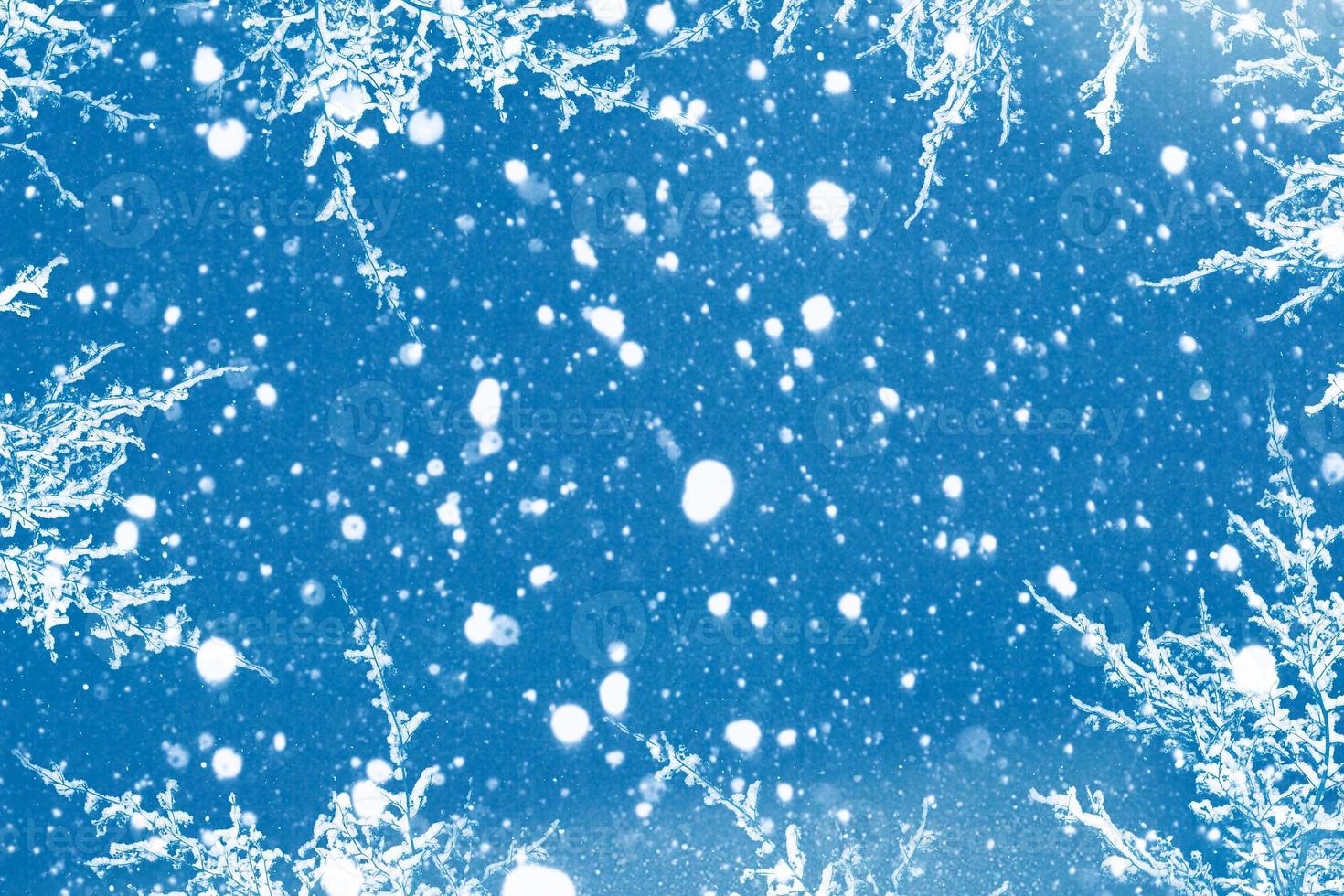 Blurred. Abstract festive Christmas background. photo