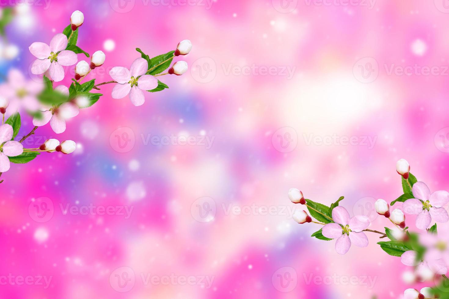Bright colorful spring flowers photo