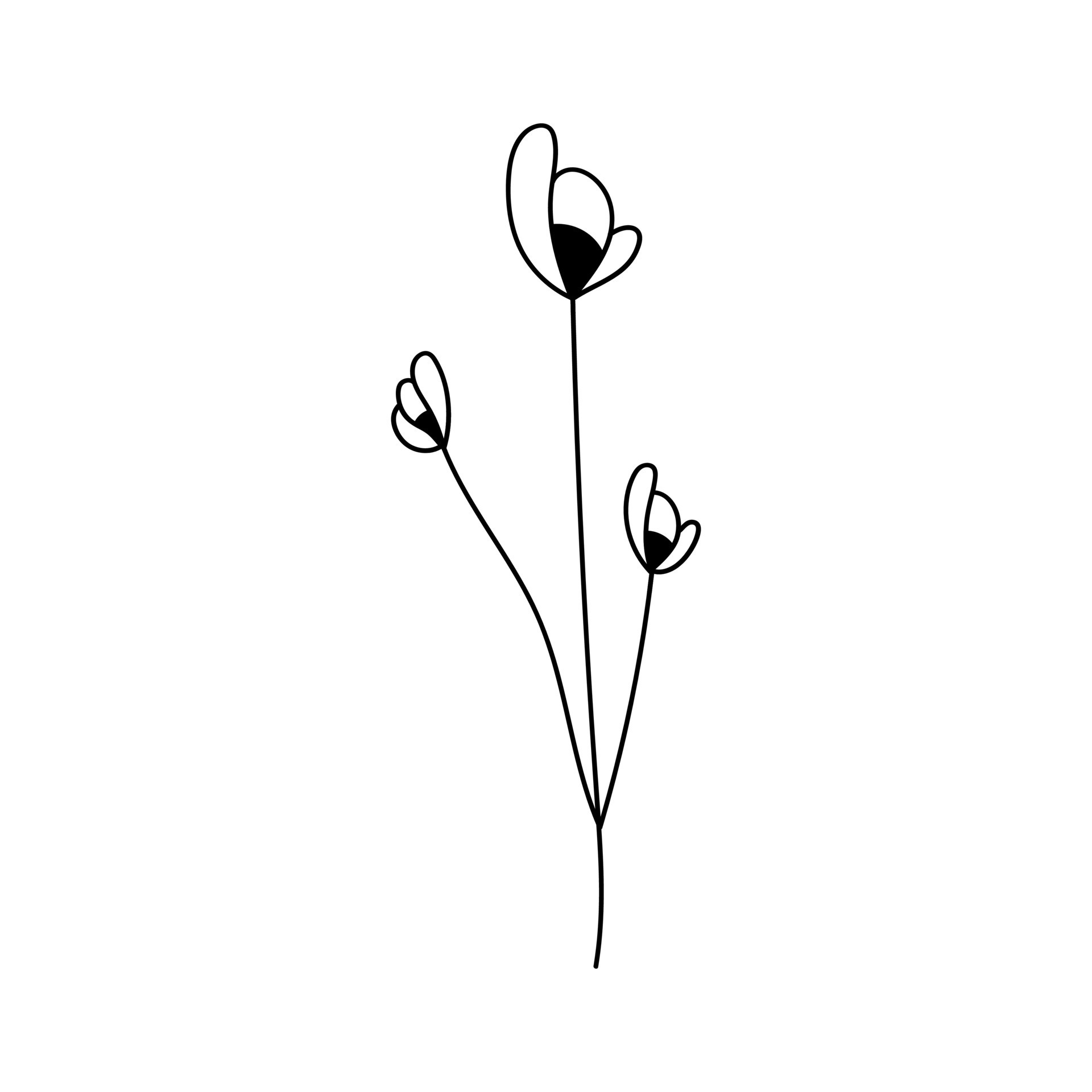 Illustration of a flower, silhouette of a twig with flowers and leaves ...