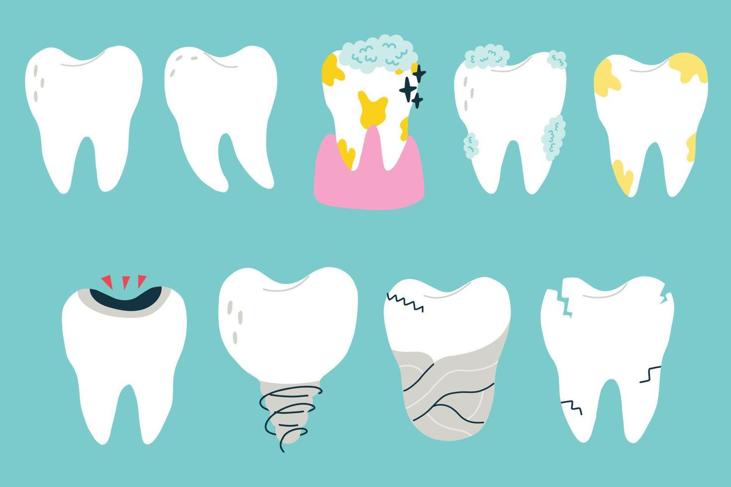 Collection of white teeth in various states vector