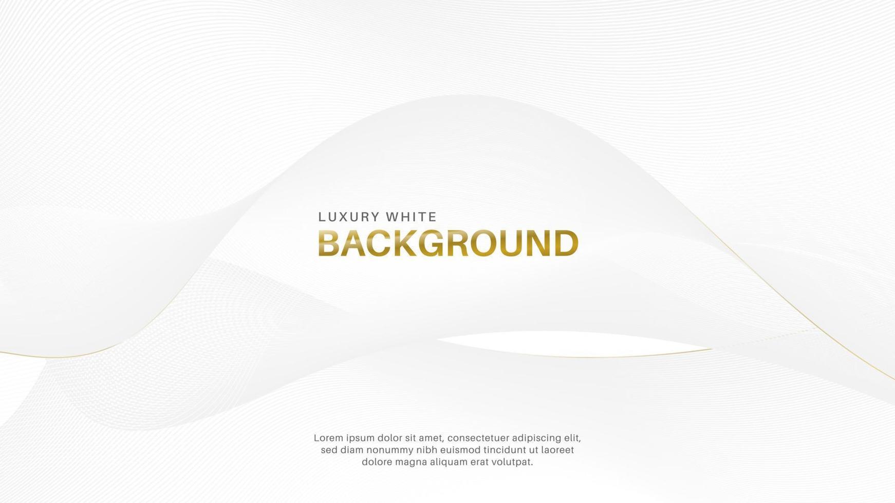 Modern and minimalist luxury abstract white background vector