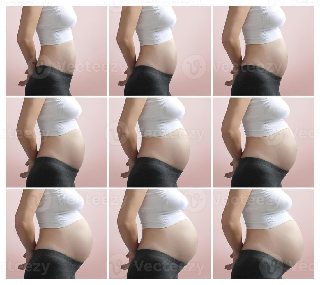 Nine months of pregnancy with the growth of the unborn child photo