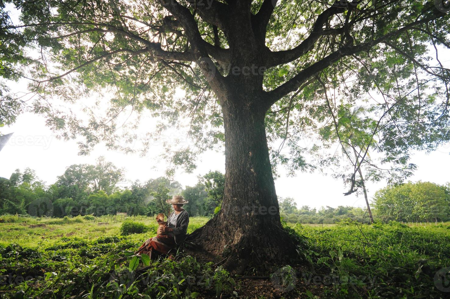 Asian grandmother fisherman under big tree photo