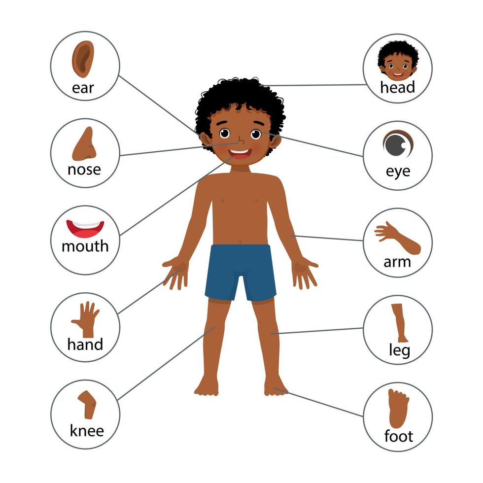 cartel de ilustración de niño africano de partes del cuerpo humano con gráfico de etiqueta de texto de diagrama para fines educativos vector