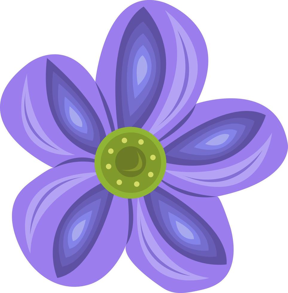 Ilustración de vector de flor oxalis para diseño gráfico y elemento decorativo