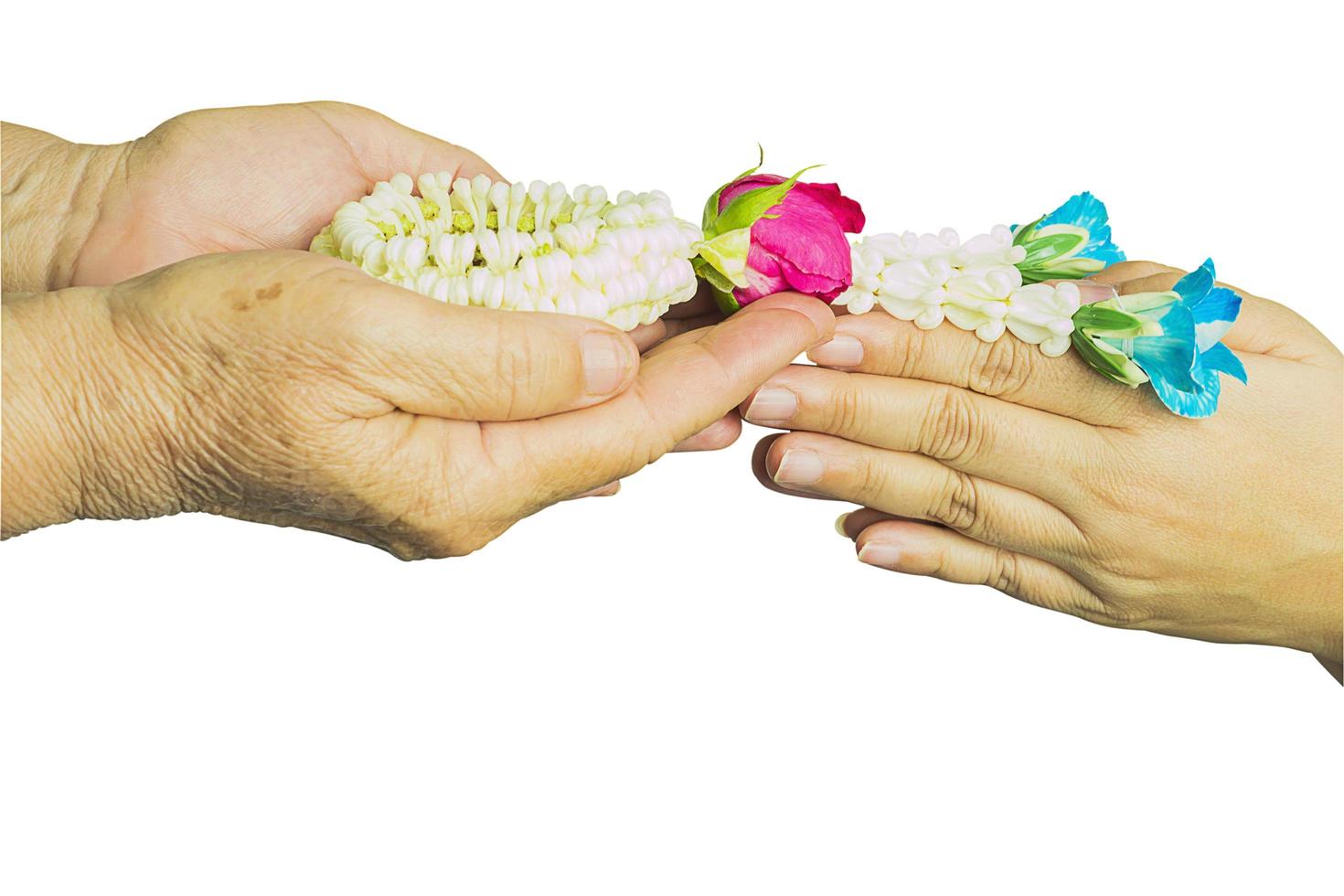 Young hands give jasmine garland to the older isolated over white. Thai tradition for any special family occasions for paying high respective with love and care. Photo includes CLIPPING PATH.