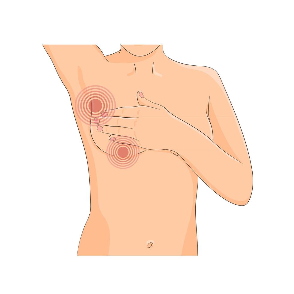 Breast self exam ill vector