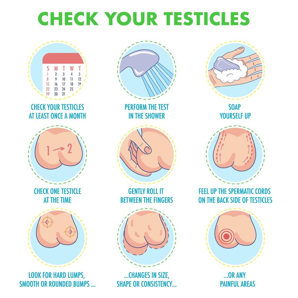 Testicles self exam. Testicle cancer symptoms and monthly examination infographics. Vector icon set.I Illustration for flyers, brochures, web resources, health centers.