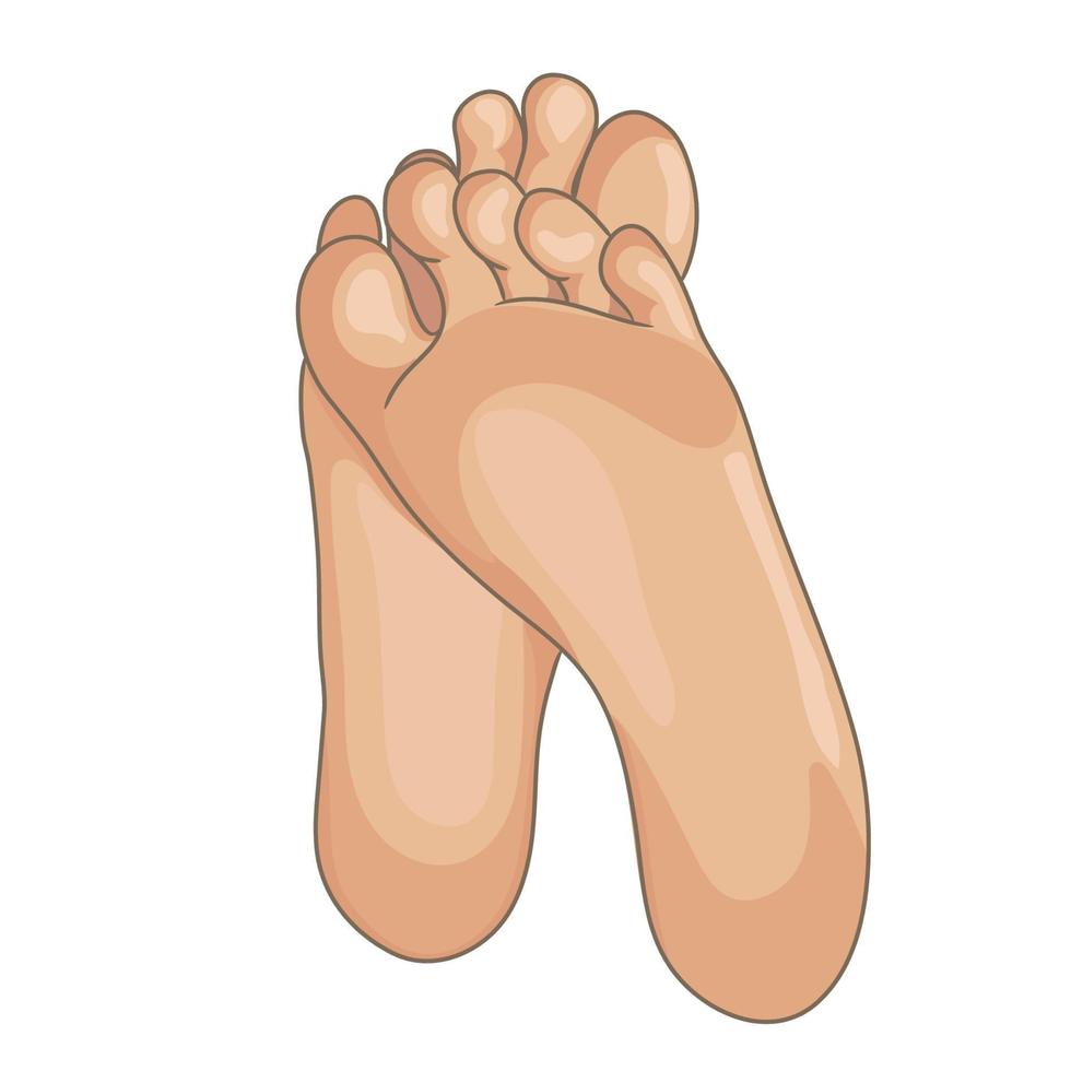 Female or male foot soles, barefoot, bottom view. Vector illustration, hand drawn cartoon style isolated on white.