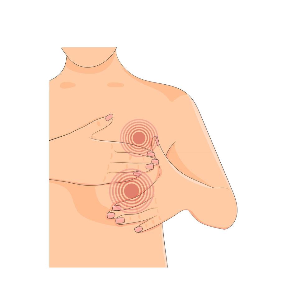 Breast self exam ill vector