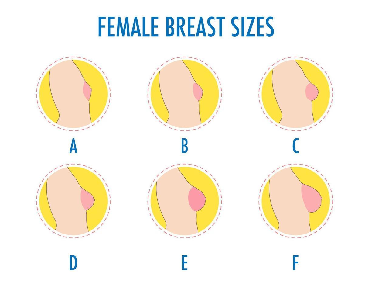 Set of round line icons of different female breast size, body side