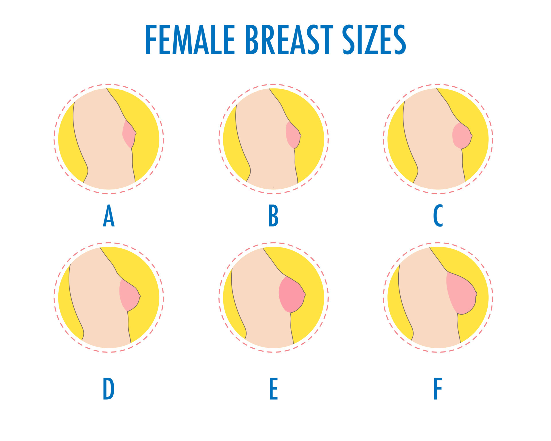 Set of round line icons of different female breast size, body side view.  9298642 Vector Art at Vecteezy