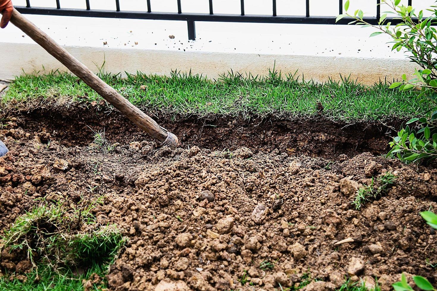 Gardener preparing to plant trees - the tree and gardening decoration service business photo