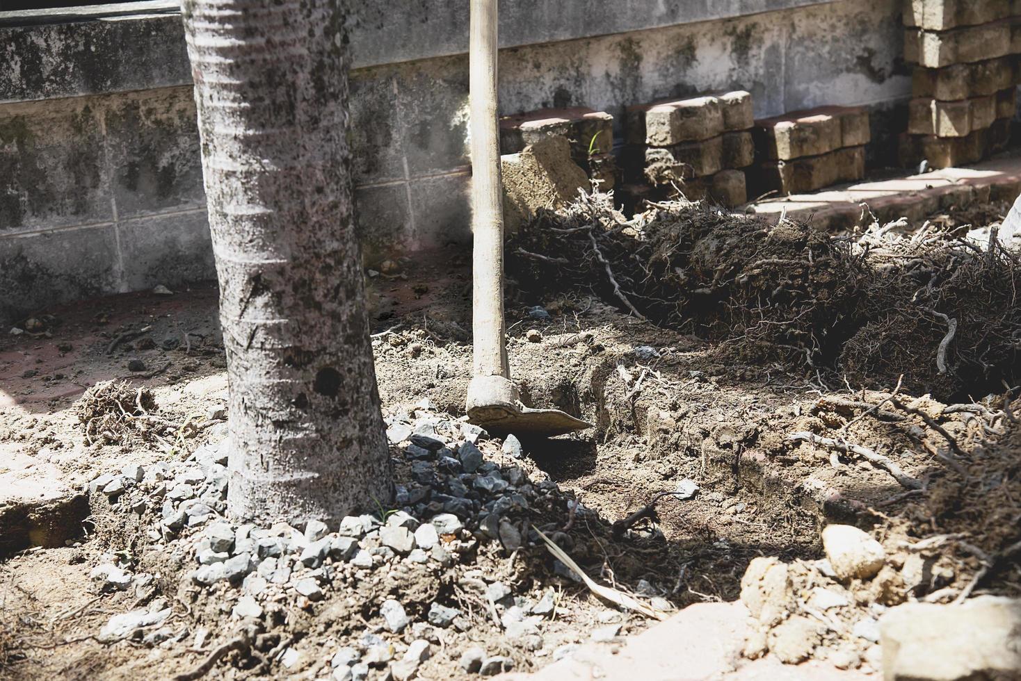 Gardener digging trees to be sold in the tree and gardening decoration service business photo