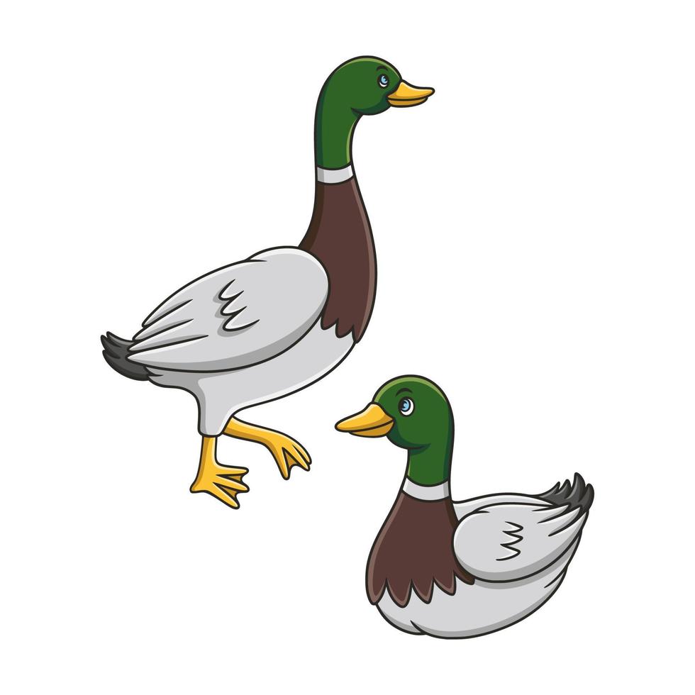 cartoon illustration the duck is walking by the river and swimming in the river vector