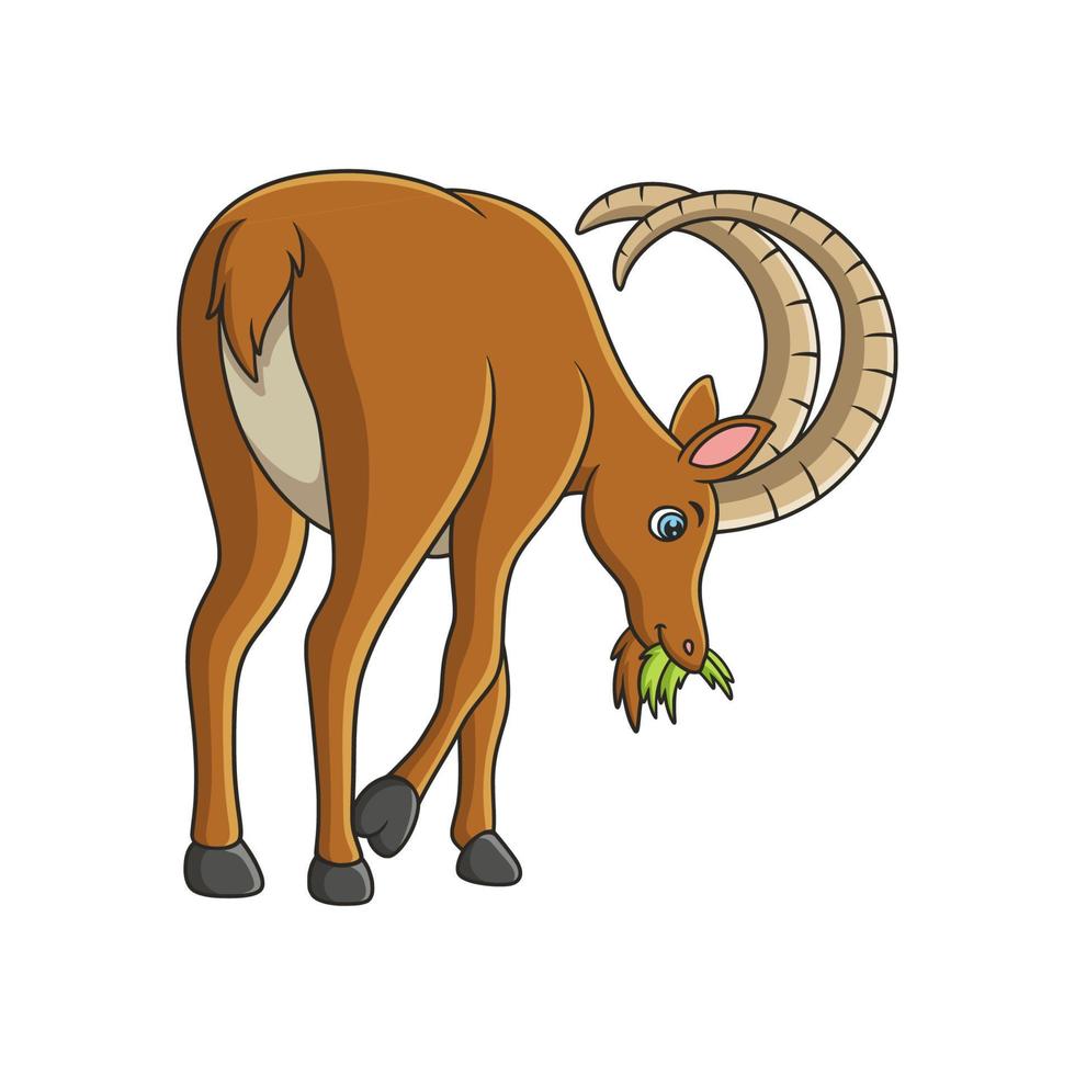 cartoon illustration an ibex walking in the middle of the meadow looking for food in the morning vector