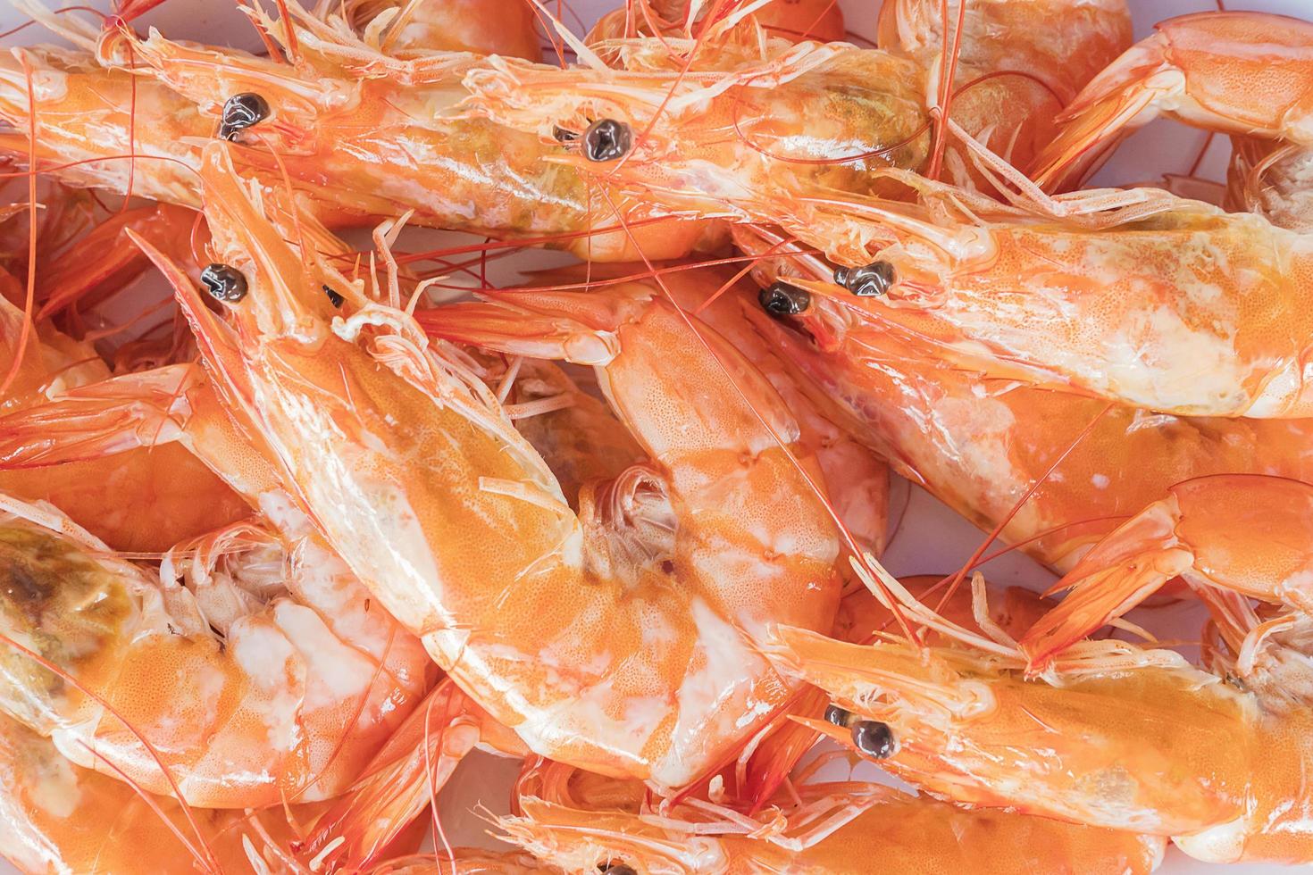 Selective focus of steamed shrimp in a white plate photo