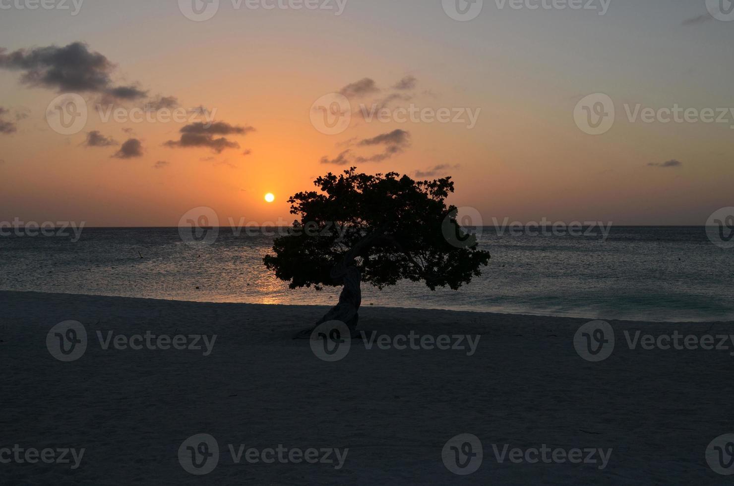 playa águila en aruba al atardecer foto