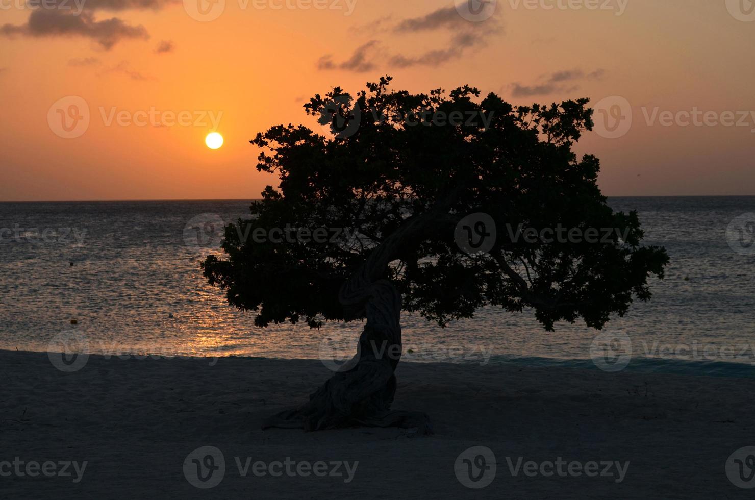 Orange Skies Over the Ocean in Aruba photo