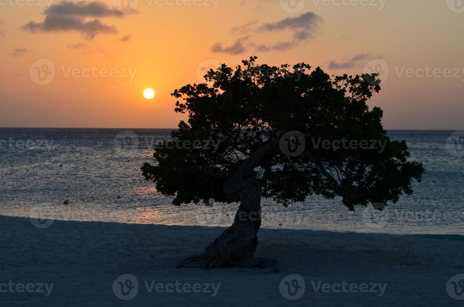 Beautiful Sunset on Eagle Beach in Aruba photo